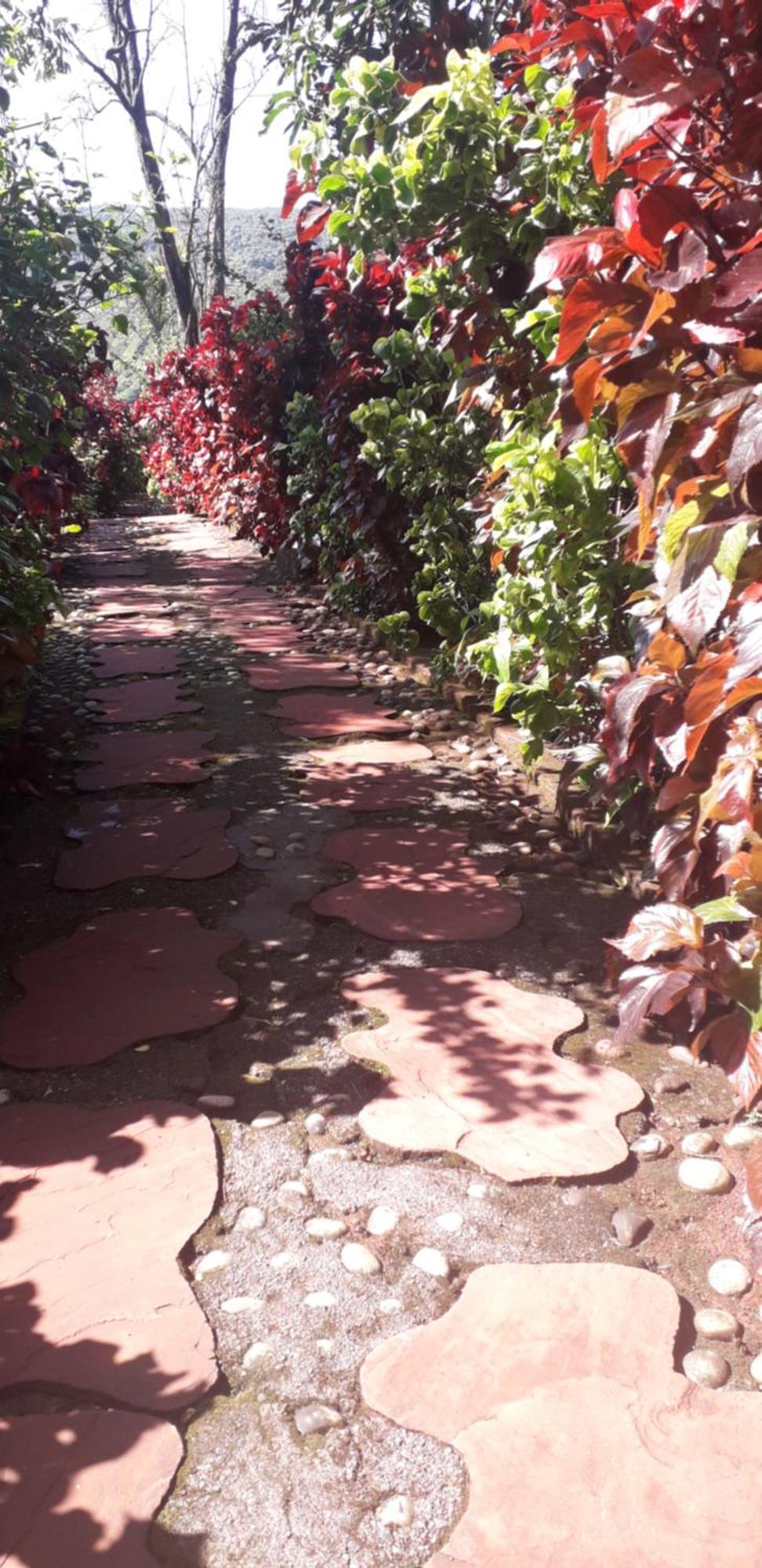 Strawberry Country Villa Mahabaleshwar Room photo